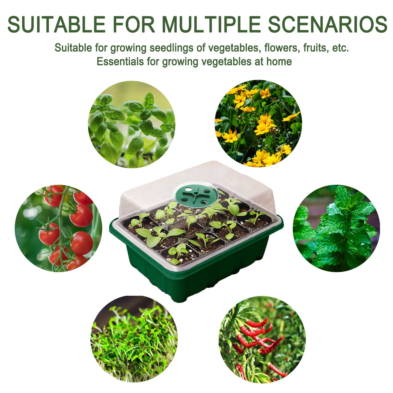 4-Pack Seed Starter Tray Seedling Starter Kits