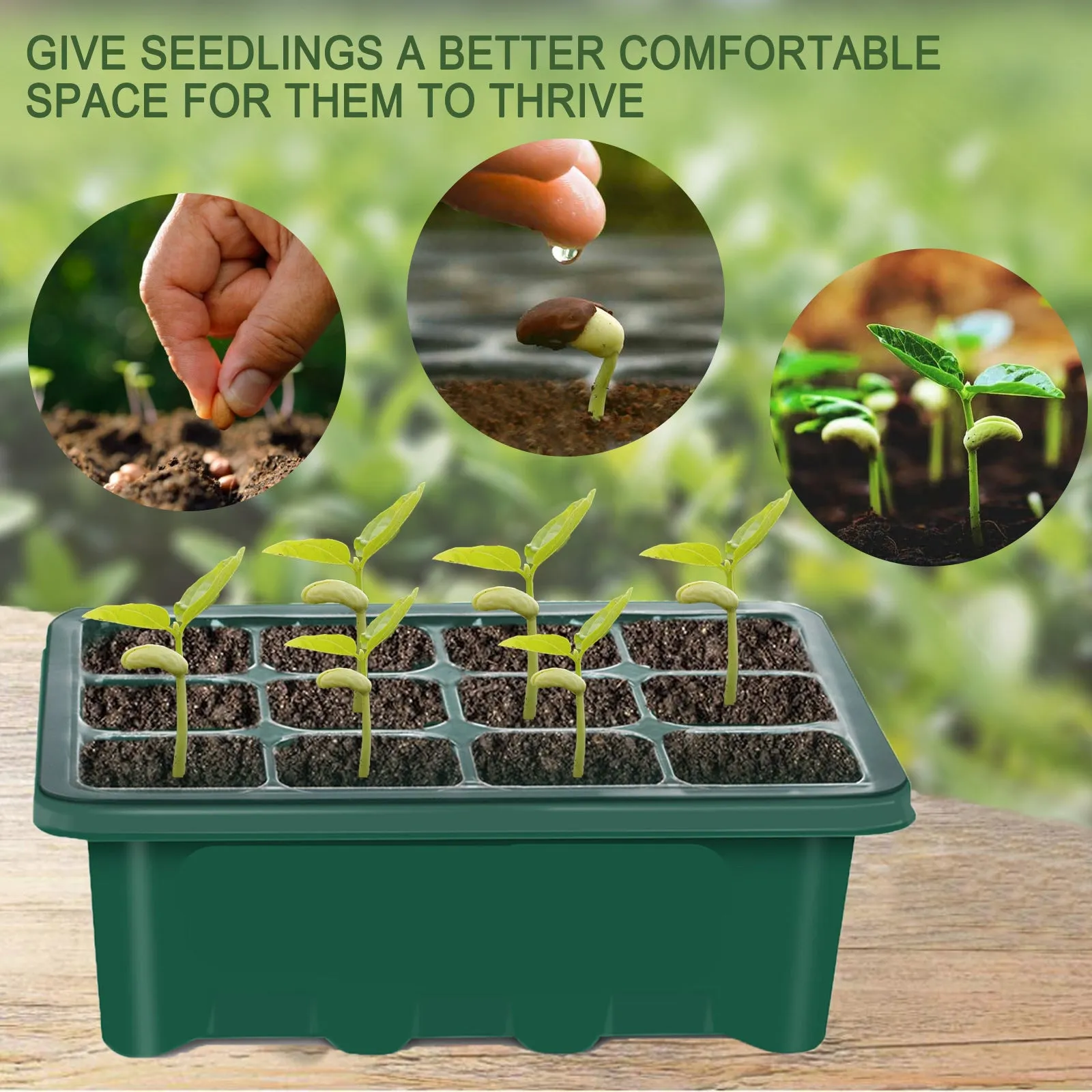 4-Pack Seed Starter Tray Seedling Starter Kits