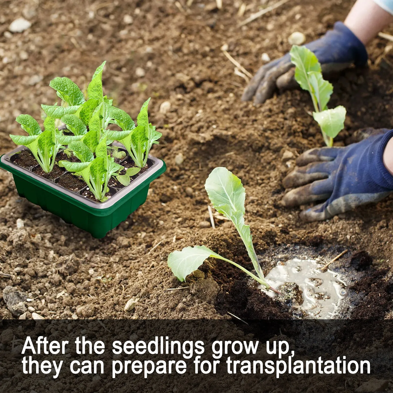 4-Pack Seed Starter Tray Seedling Starter Kits