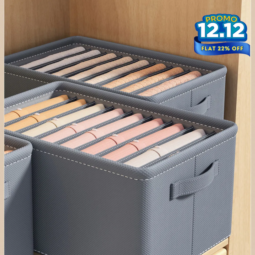 Rigid Storage Wardrobe Organizer