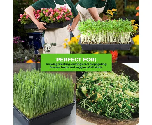 Seedling Trays Durable Reusable Garden Greens 72 PC Set