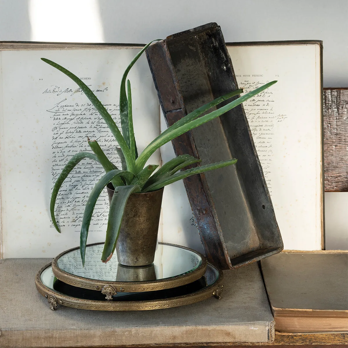 Vintage Iron Tray